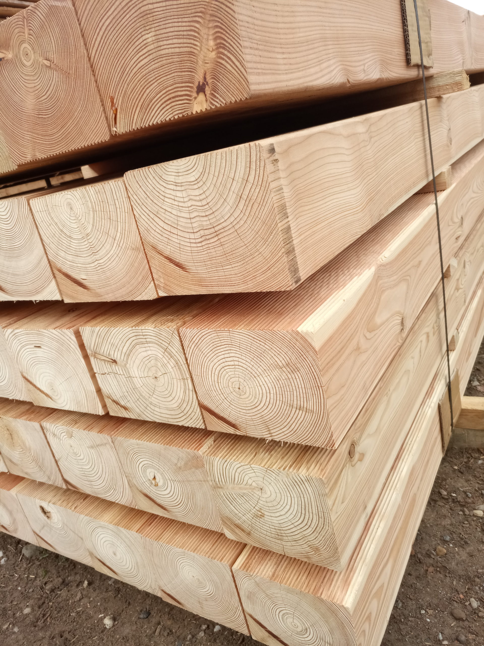 Larch sleepers